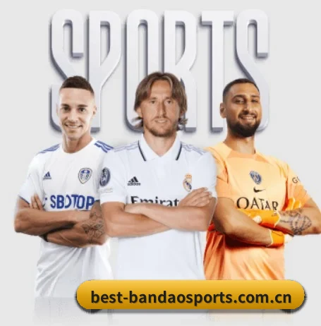 五大服务分区,信息按项目分类（bandao）